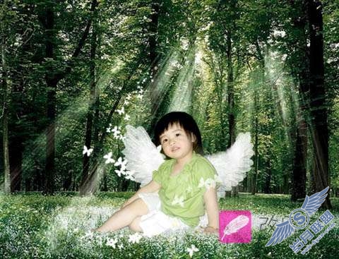 Photoshop照片处理:合成梦幻森林小天使儿童照【图】_