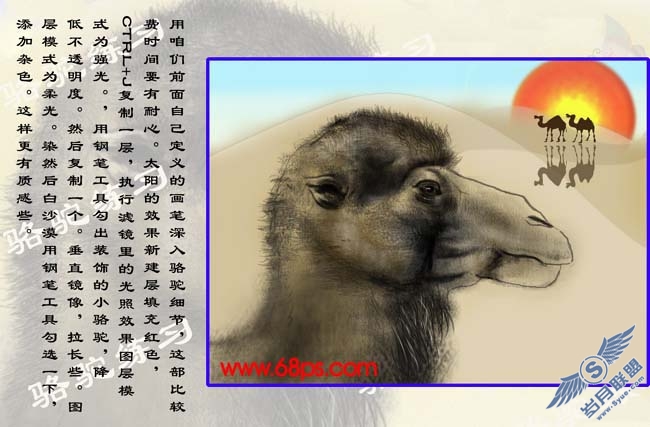 PS鼠绘沙漠骆驼插画