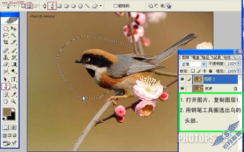 Photoshop制作小鸟鸣叫时的动作