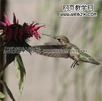 Photoshop教程:可爱的美女3D娃娃