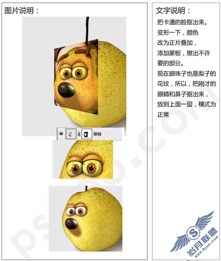 PhotoShop合成可爱的梨子脸部表情