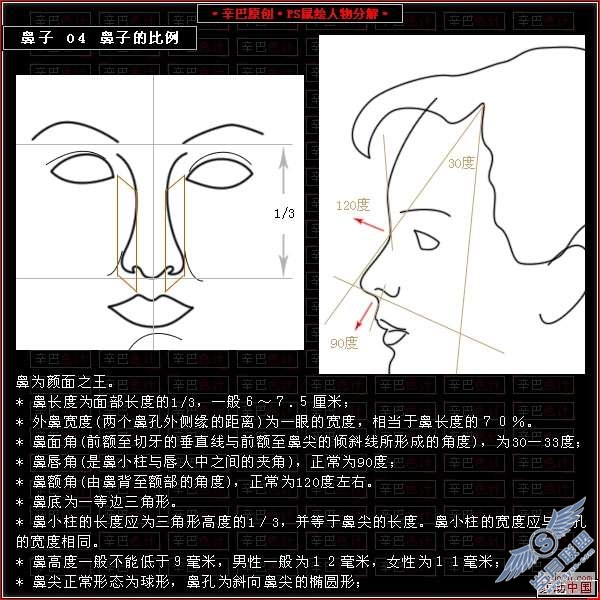Photoshop鼠绘人物分解教程——鼻子篇【图】_