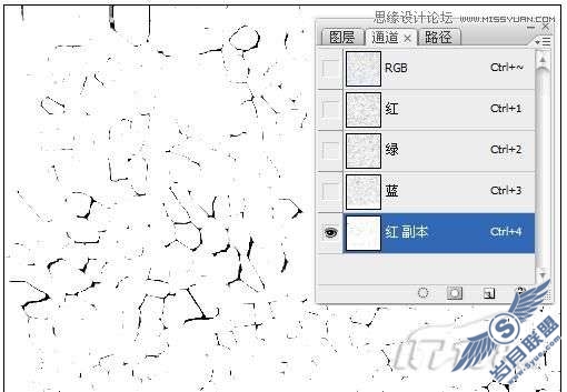 photoshop制作皮革质感及其应用实例教程_