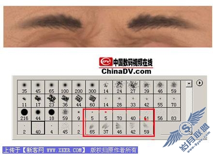 利用PhotoShop完成角色脸部贴图制作
