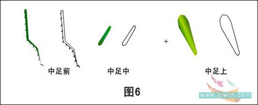 绘制逼真螳螂