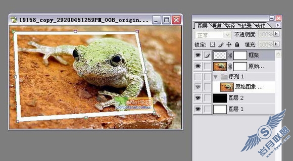 Photoshop打造陷入照片的青蛙