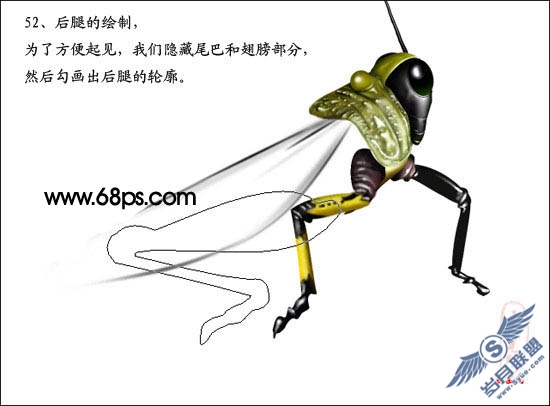 PhotoShop鼠绘超真实的蝗虫