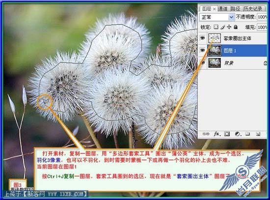 抽出滤镜快速勾出教复杂的物体