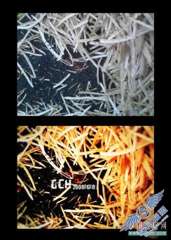 Photoshop调色教程:在那油菜丰收的时节