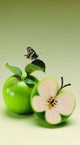 Photoshop制作蝴蝶苹果