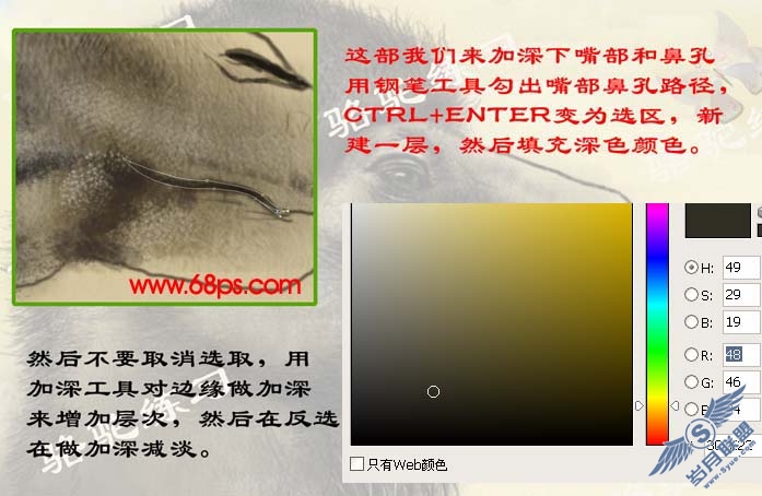 PS鼠绘沙漠骆驼插画