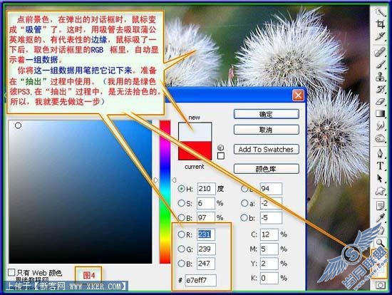 抽出滤镜快速勾出教复杂的物体