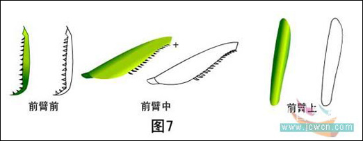 绘制逼真螳螂