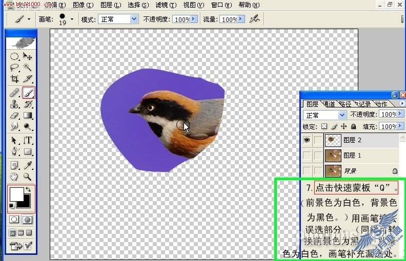 Photoshop制作小鸟鸣叫时的动作