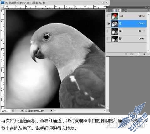 PhotoShop巧用通道还原照片细节