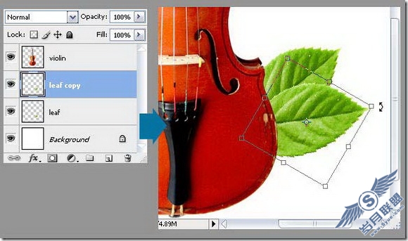 Photoshop打造创意时尚的潮流插画
