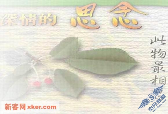 网页设计