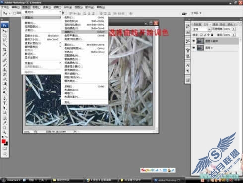 Photoshop调色教程:在那油菜丰收的时节