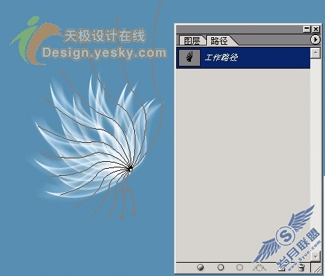 天极设计在线_Photoshop滤镜绘制半透明叶片