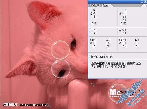 photoshop校色: 调出猫咪中性灰