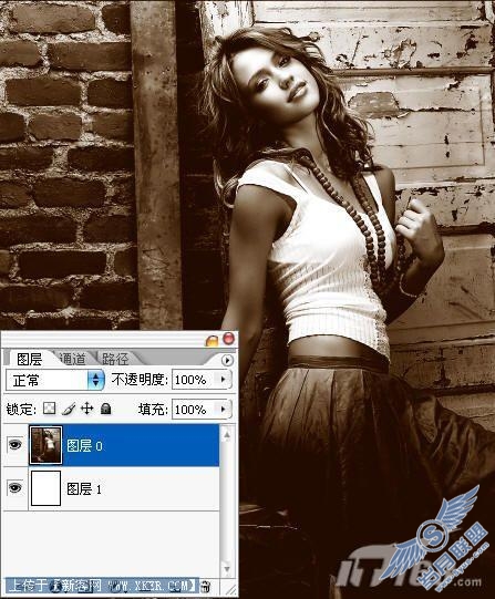 请点击图片查看原图