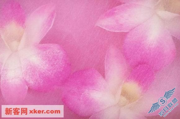 鲜花