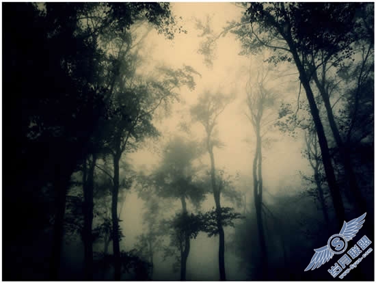 Photoshop制作神圣天使