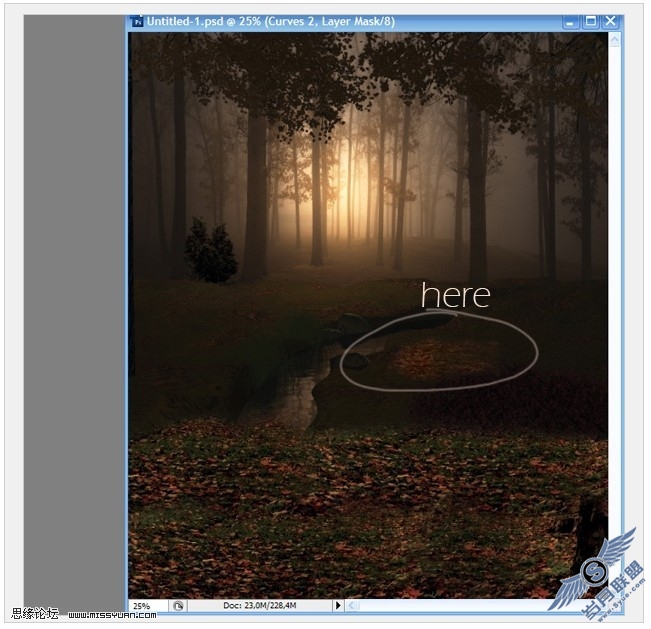 photoshop照片处理:创意合成森林中的天使