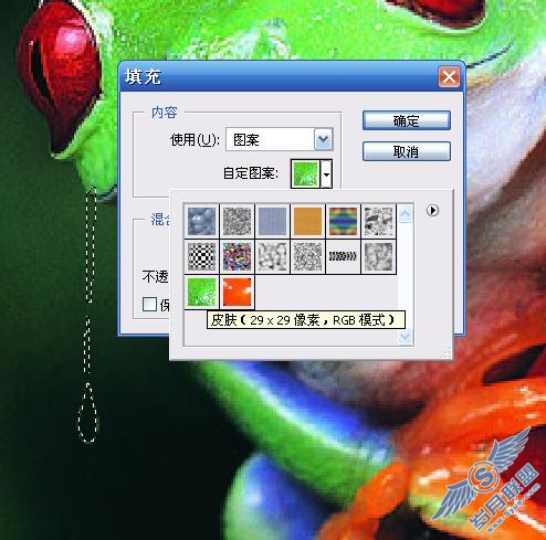 Photoshop效果教程:淡色彩的可爱青蛙