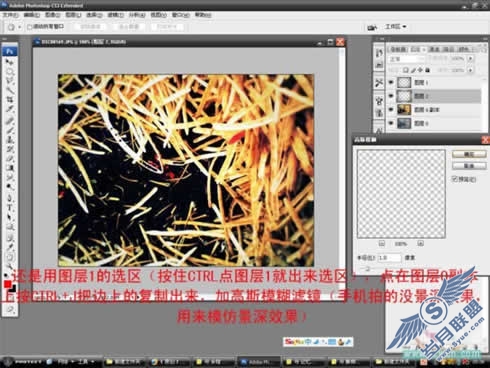 Photoshop调色教程:在那油菜丰收的时节