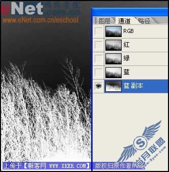 Photoshop制作迷人的黑夜传说