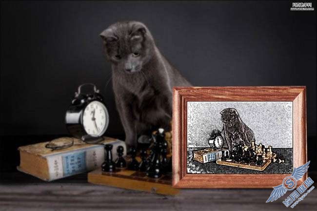 Photoshop合成素描小猫的现场图片【图】_