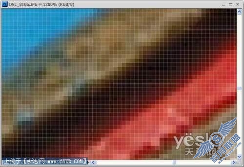 各选所需 快速掌握Photoshop CS4