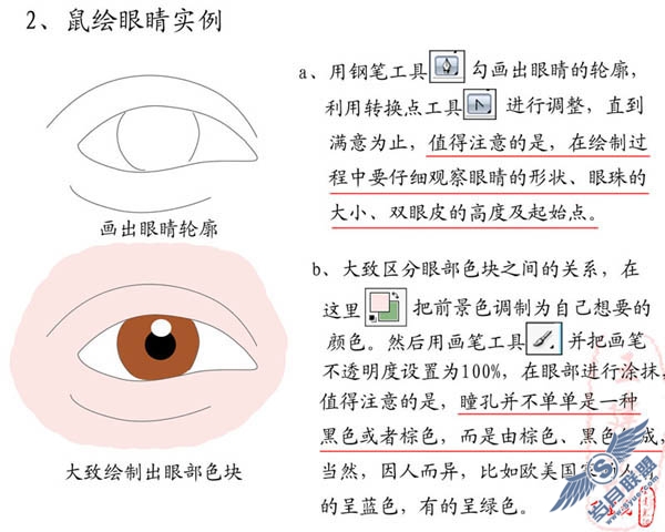 Photoshop鼠绘眼睛的详解教程_