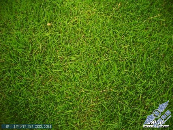 Photoshop打造草坪文字效果壁纸