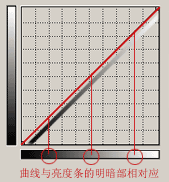 入门:图文讲解Photoshop曲线的用法_webjx