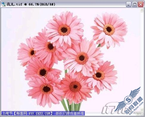 Photoshop制作幽雅梦幻韩版婚纱照