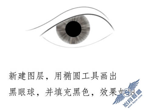 心灵之窗 Photoshop手绘人物眼睛