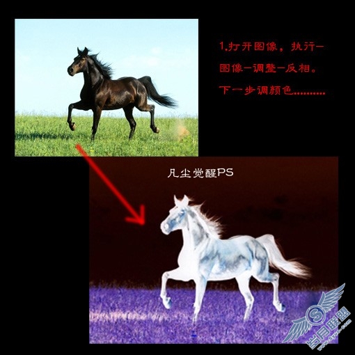 Photoshop打造一匹燃烧的火马