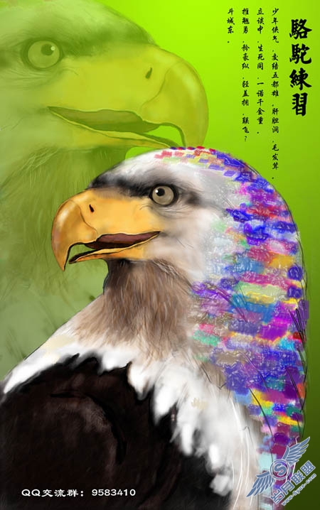 PhotoShop鼠绘一只彩色羽毛的鹰