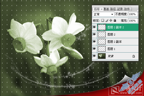 Photoshop处理照片:花卉照片添加光线