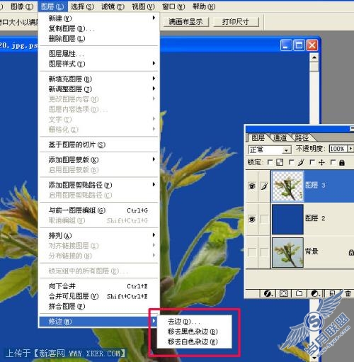 Photoshop去边命令巧除抠图杂边_天极设计在线转载