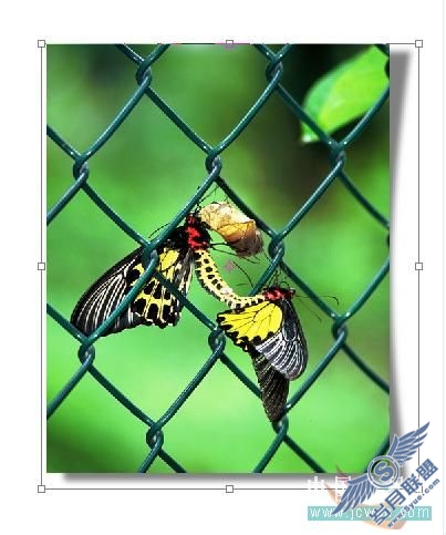 Photoshop初学者实例教程:简单打造照片立体效果
