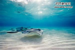 PhotoShop教程: 制作清新的水果海底图片
