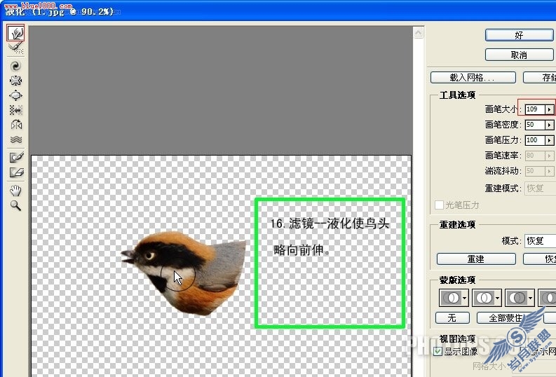 Photoshop制作小鸟鸣叫时的动作