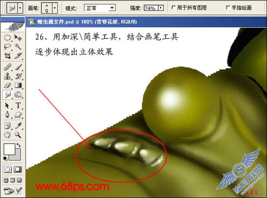PhotoShop鼠绘超真实的蝗虫