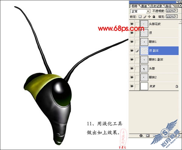 PhotoShop鼠绘超真实的蝗虫