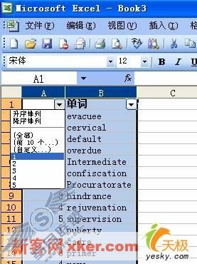 Excel技巧