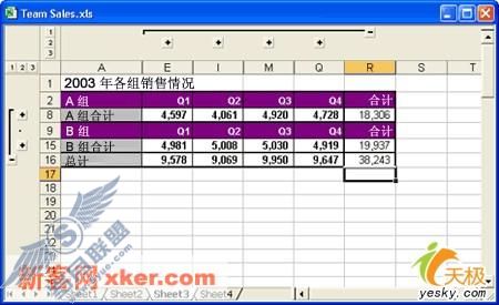 应用分级显示的汇总工作表