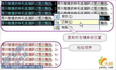 Word文档里不连续文本的复制粘贴小秘密